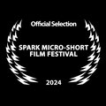 Spark Micro-Short Film Festival, Buffalo
