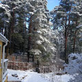 Furugården – winter impressions