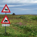 Varanger Landschaftsroute - Diese Schilder stehen hier ganz zu Recht, Tiere auf der Fahrbahn kommen häufig vor.
