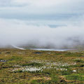 Nebel zieht in Sekundenschnelle auf und verbirgt die Straße zum Nordkapp