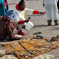 Marrakech - Schlangenbeschwörer auf dem "Platz der Gehenkten"