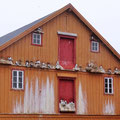 Varanger Landschaftsroute - Haus mit Herz für Möwen in Vardö