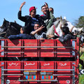 Marrokanische Form des Pferdetransportes 