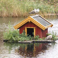 Am niedlichsten fand ich noch die Behausungen der Wasservögel - hier wohnen Möwen ...