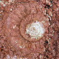 Antequera - Am Torcal findet man viele große Ammonitenabdrücke