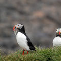 2012_borgarfjördur/is ©mettler