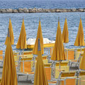 2022_cervo/i ©mettler