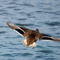 2012_urnersee/ch ©mettler