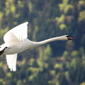 2013_urnersee/ch ©mettler