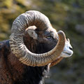 2014_goldau/ch ©mettler