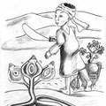 illustration jeunesse Bimbouss et les trois fléaux du désert 