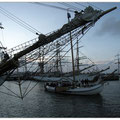 Sail 2008 Den Helder