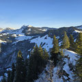 Stäldeli - Fürstein - Rickhubel - Miesenstock