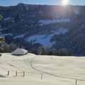 Morgenstimmung bei der Alp Unter Loegg