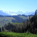 Ausblick ins Entlebuch und zu den Berner Alpen