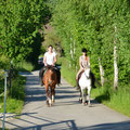 Der kleine romantische Innerdorfbach fliesst rechts der Birkenalle ruhig dahin.