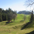 Landschaft bei Hängele