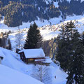 Blick von der winterlichen Alpe Rütan nach Nante