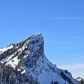 Torflue