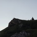 Steinbock gesichtet