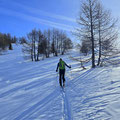 Winterstimmung am Föisc