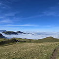 Musenalp und Buochserhorn sind nur knapp über dem Nebel.