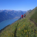 Blick gegen Interlaken - hinten sieht man die Blüemlisalpgruppe und vieles mehr