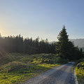 Früher Aufbrauch bei Alp Schlund