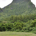 Le mont Rotui, qui a donné son nom aux jus de fruits locaux