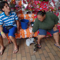 Au marché de Papeete, tu peux, tu peux tout trouver...