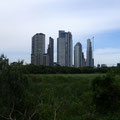 Les gratte-ciel de Buenos Aires, depuis la réserve écologique