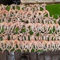 Cuisses de grenouille... juste à côté des grenouilles encore vivantes :-(
