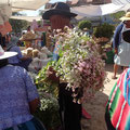 Au marché de Punata, tu peux acheter des fleurs...