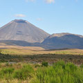 Mont Ngauruhoe, la montagne du destin