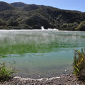 Wai-o-Tapu, le lac vert