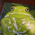 Milk Frog - $225 - 13"wx8.5"dx7"h (sq stool is n/a but can be painted on above type stool))