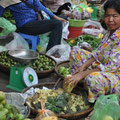 Cambodge - succulents ananas