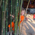 cache cache dans les bambous