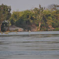 Laos 4000 iles    grue sur le Mekong  