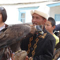 Aigle chasseur en Kirguizie