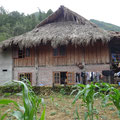 Maisons de bambou - Nord Vietnam