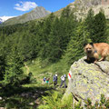 Toya au coeur des montagnes Suisse / Toya liebt die Berge