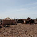 Dans le reg de Cheggaga, un campement nomade
