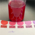 Zelfgemaakte Rode Kool Indicator Vloeistof: Natuurazijn (pH 2 ~ 3,5): 3,0 pH