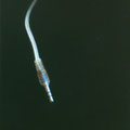 2010 "Ovule" cable, ice, rondana, oil/canvas, 28x10inches
