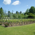 le jardin du brule