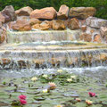 le jardin du brule