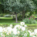 le jardin du brule