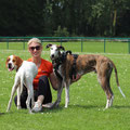 Hélène (déléguée 59) - tél : 06 83 33 82 31 - helene@galgosfrance.info