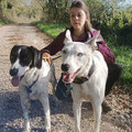 Danie (Déléguée 12) - Tél : 06 11 49 48 31 - danie@galgosfrance.info